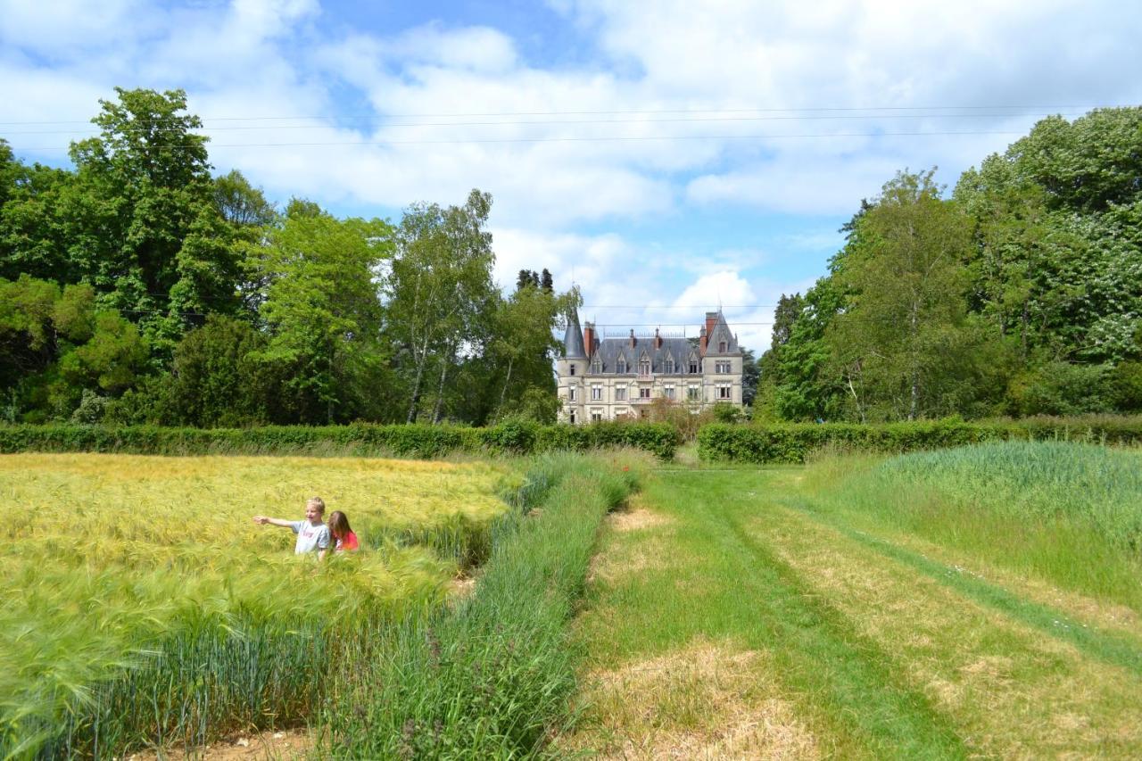 Chateau Le Boisrenault Hotel Buzancais Exterior photo